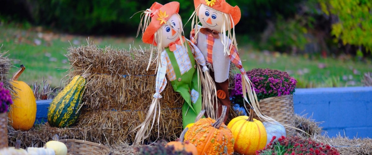 Charming autumn scene with scarecrows, pumpkins, and vibrant fall foliage, perfect for seasonal decoration.